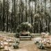 Berita Pernikahan 2021: Pernikahan yang diadakan di Hutan